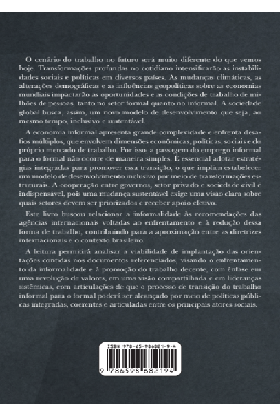 As Recomendações das Agências Internacionais para Enfrentamento da Informalidade - Uma Busca da Proteção Social e Promoção ao Trabalho Decente no Brasil